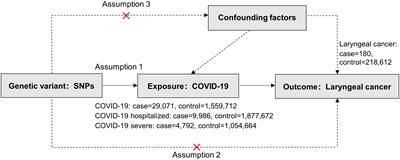 Exploring the protective association between COVID-19 infection and laryngeal cancer: insights from a Mendelian randomization study